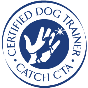 CATCH_CCDT-Seal-Blue-300 (1)-modified