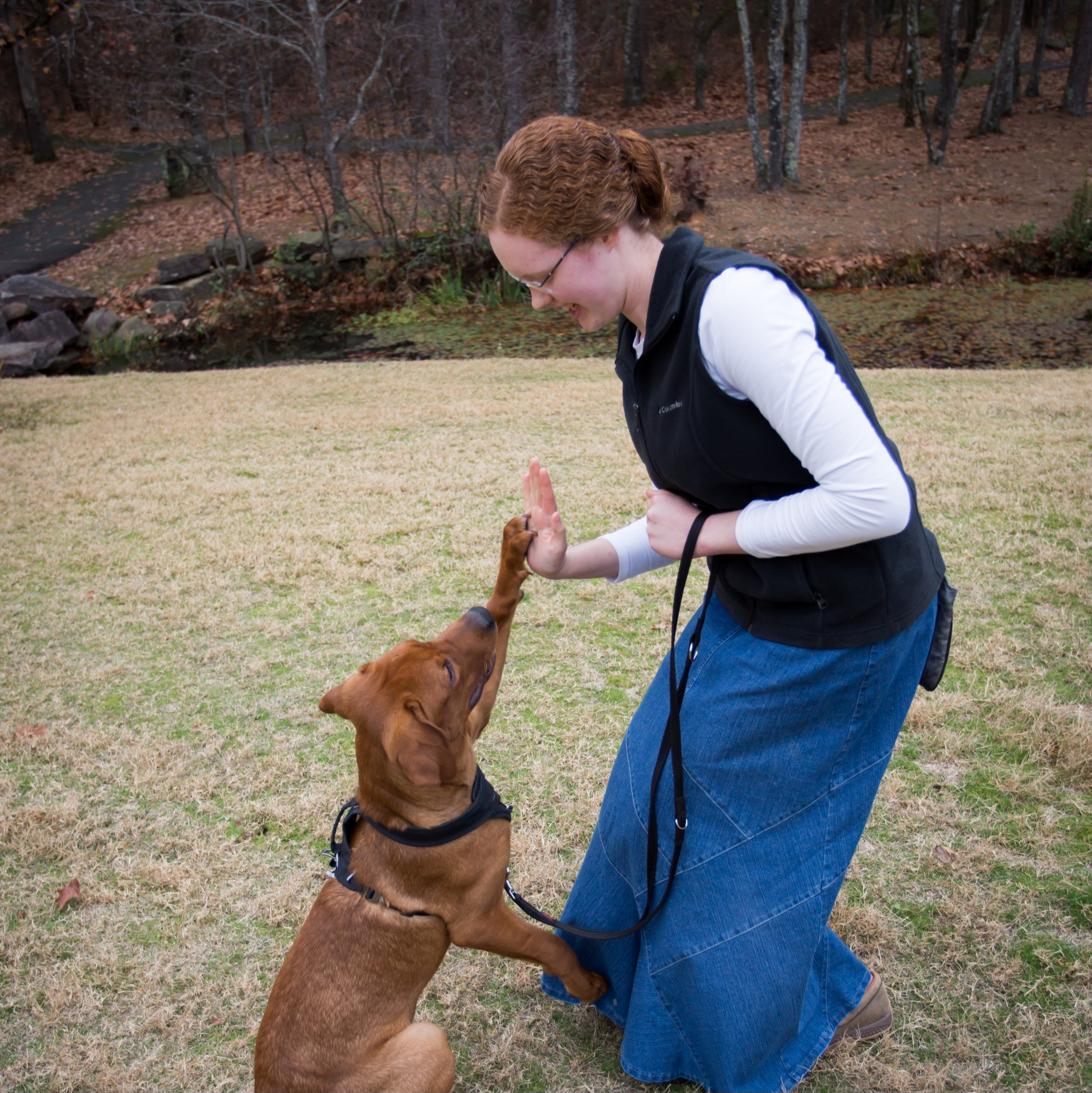 dog trainer greeting dog - CoPaws Dog Training - Cabot Arkansas