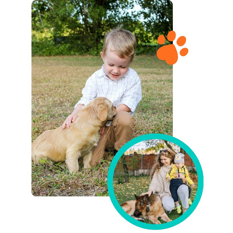 Brody - Lab puppy and Miniature Schnauzer puppy practicing sit and down stay | CoPaws Dog Training | Cabot